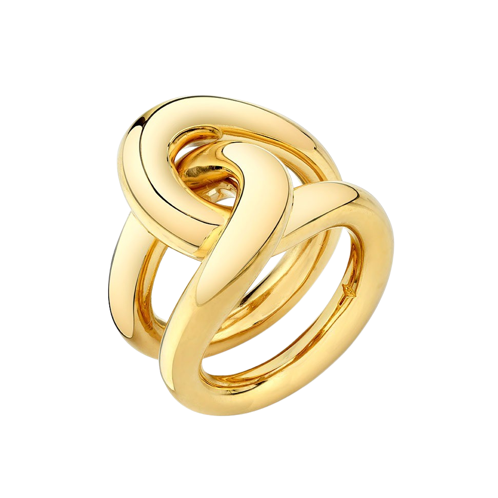 Fine Full Link Ring | Gabriela Artigas + CO Fine Full Link Ring | Gabriela Artigas + CO