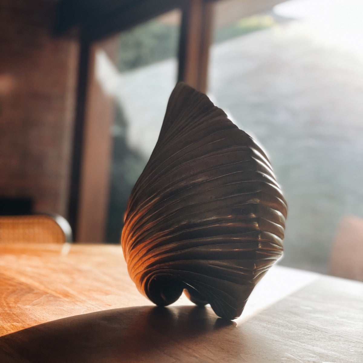 Brass shell sculpture with a bold, oversized design - Gabriela Artigas