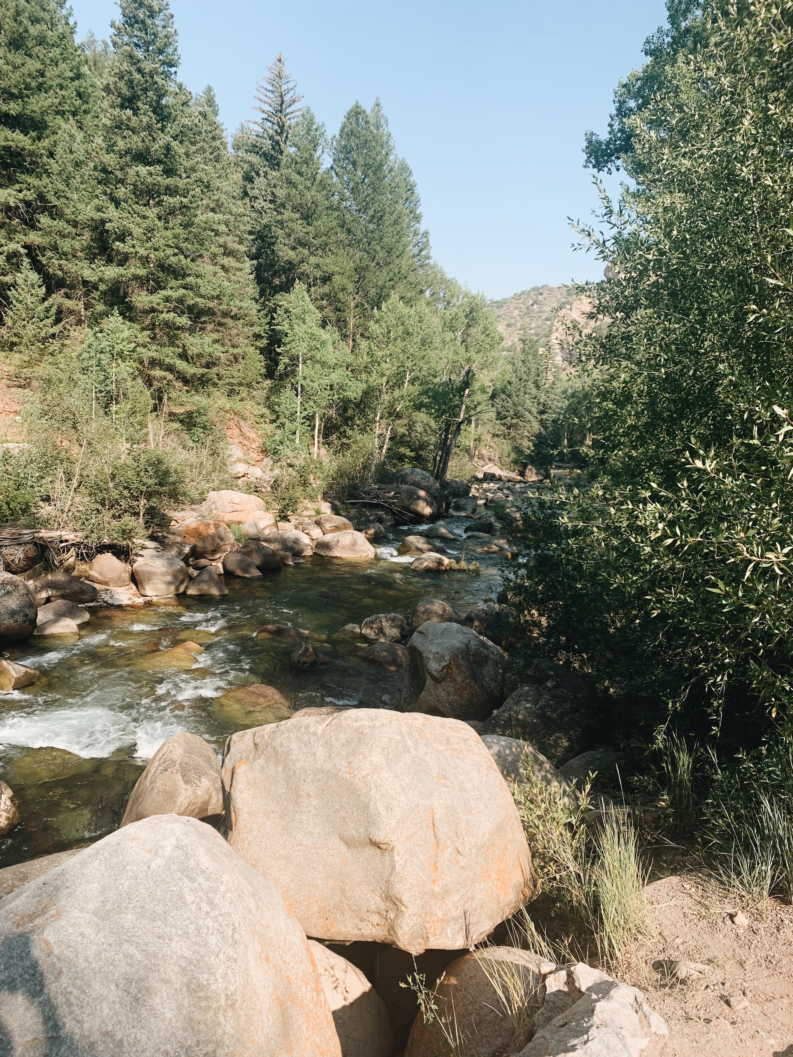 Come Say Hi Aspen! - Gabriela Artigas + CO