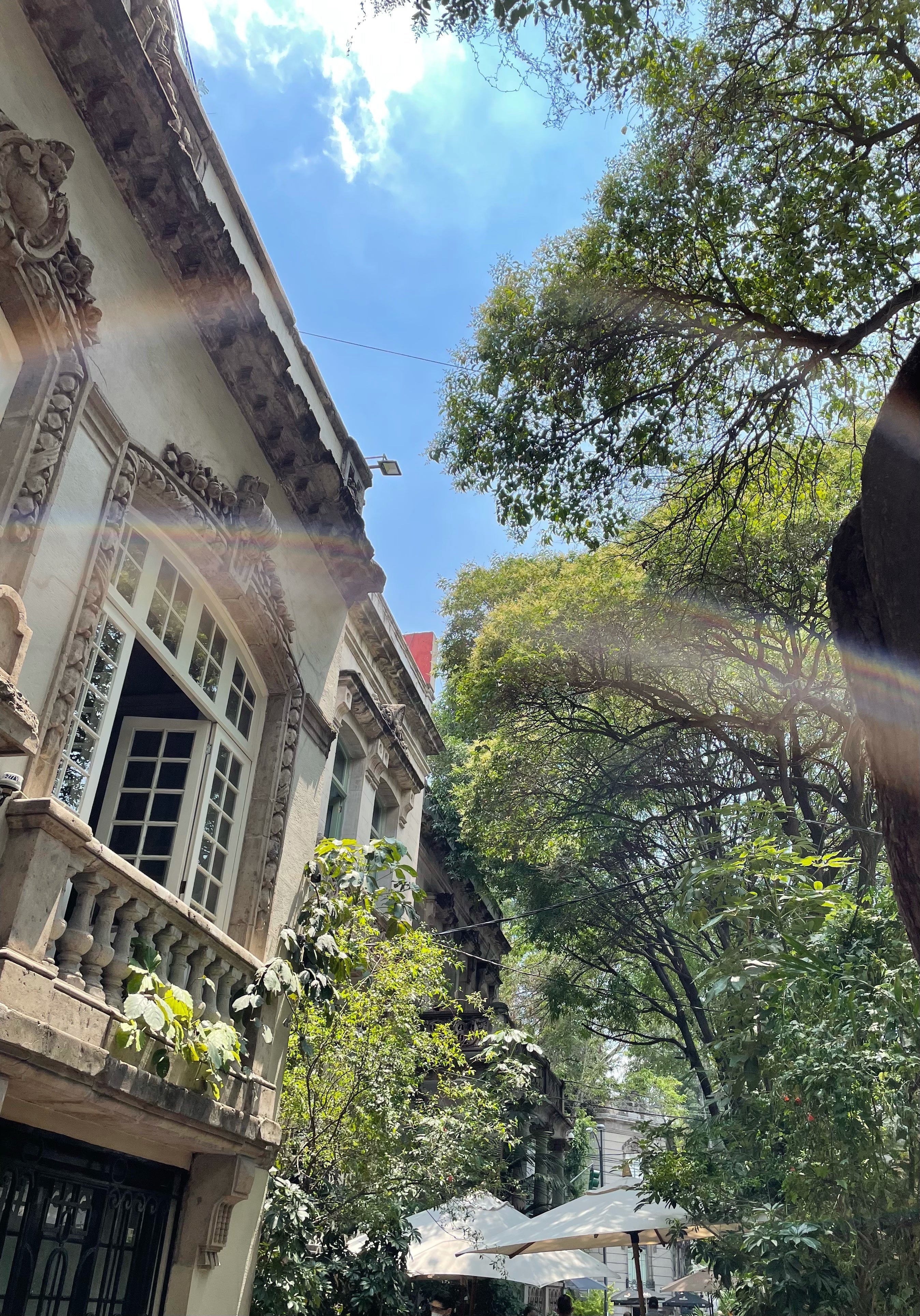 Mexico City Guide - Gabriela Artigas + CO
