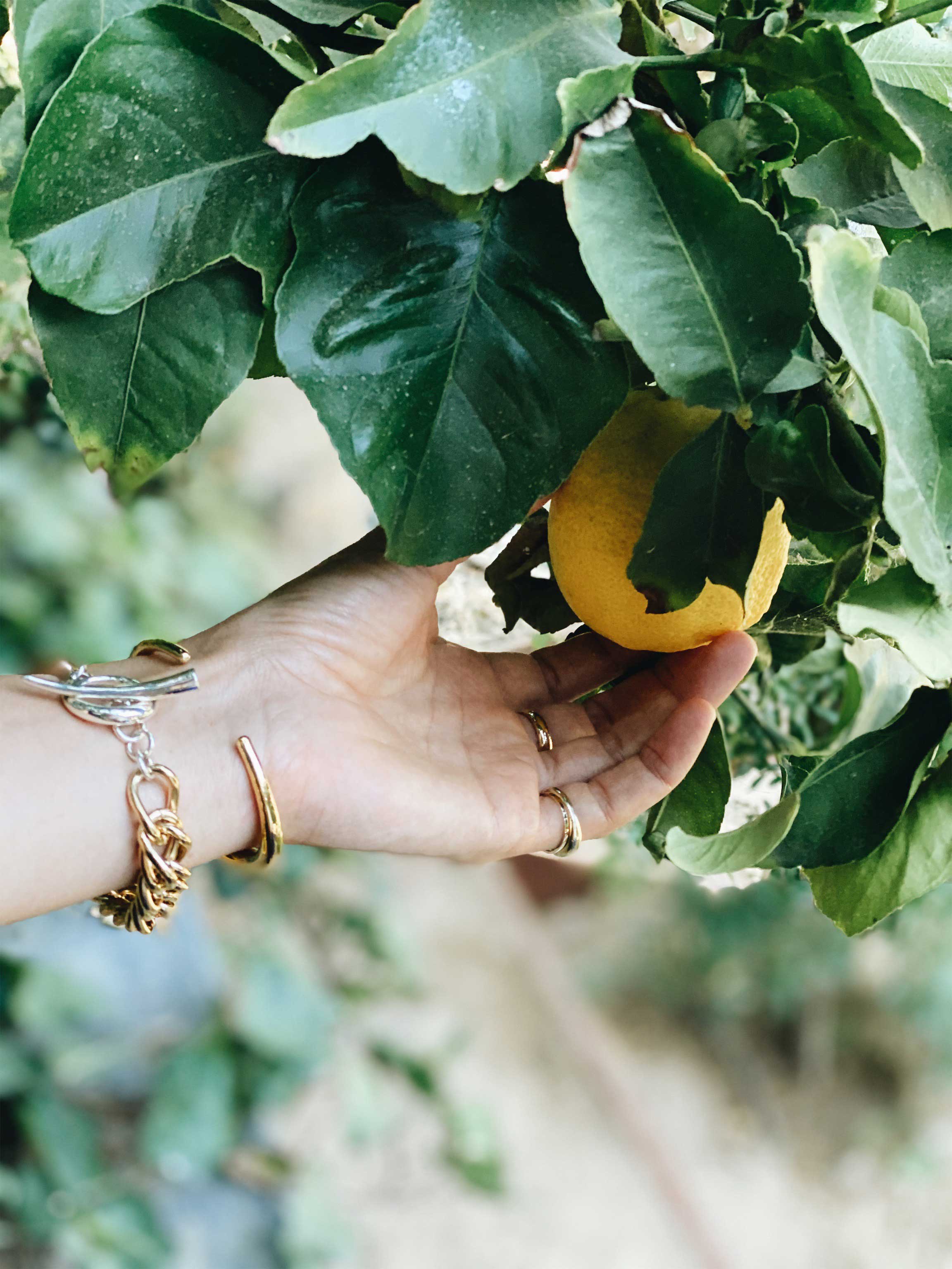 Summer Spritz - Gabriela Artigas + CO