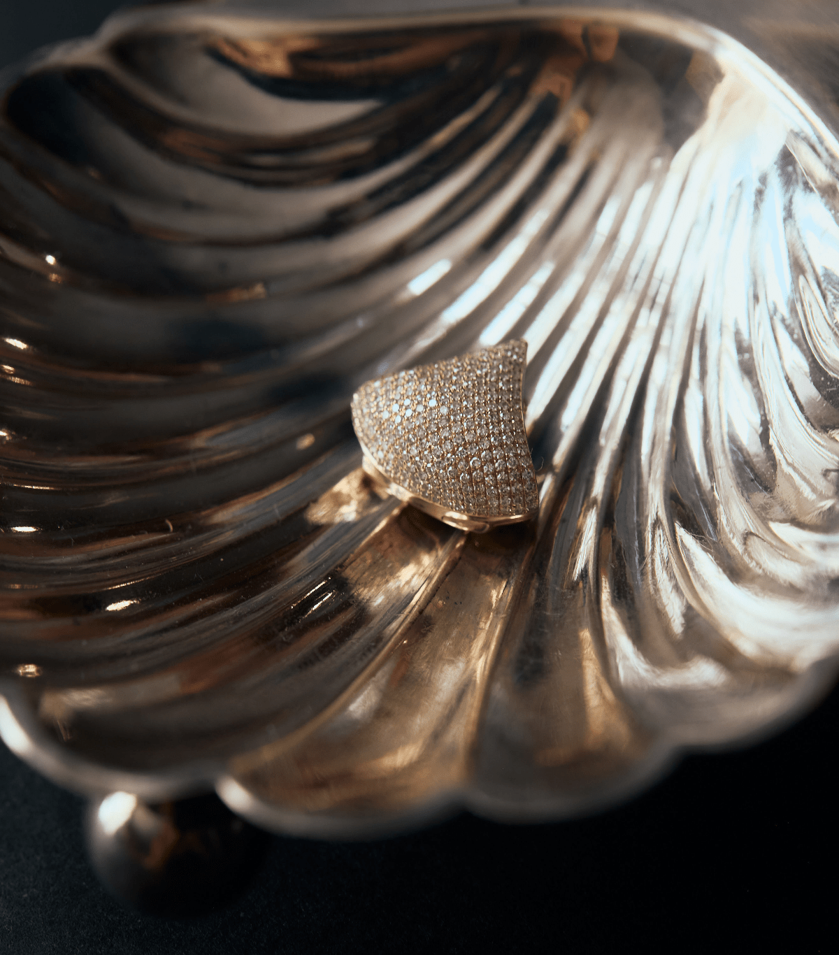 Apse Collection - Gabriela Artigas + CO