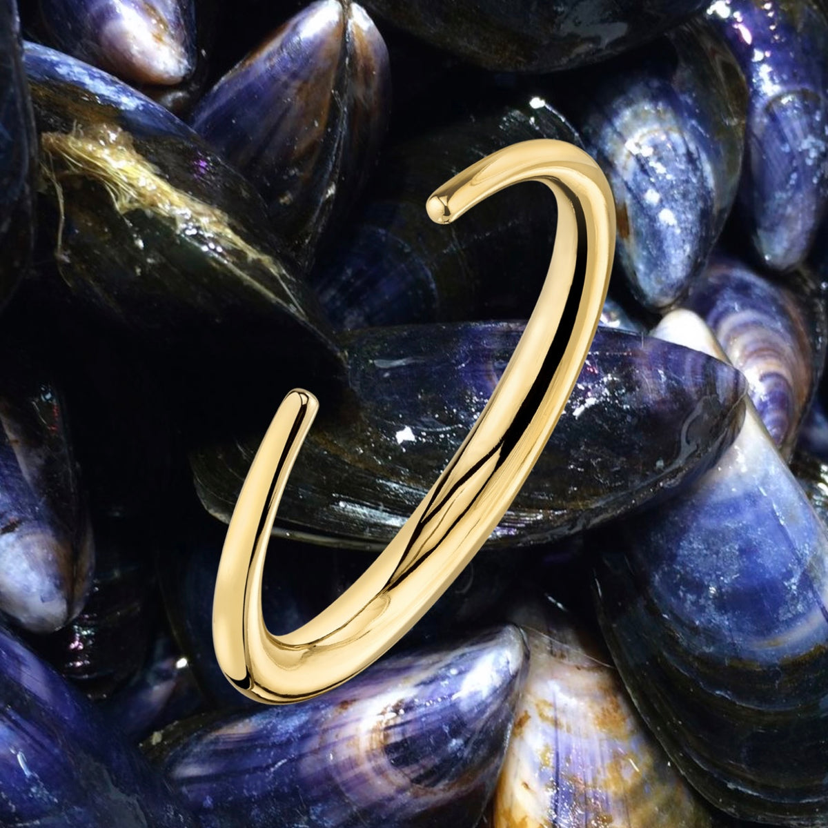 The Infinite Tusk Cuff - Gabriela Artigas + CO