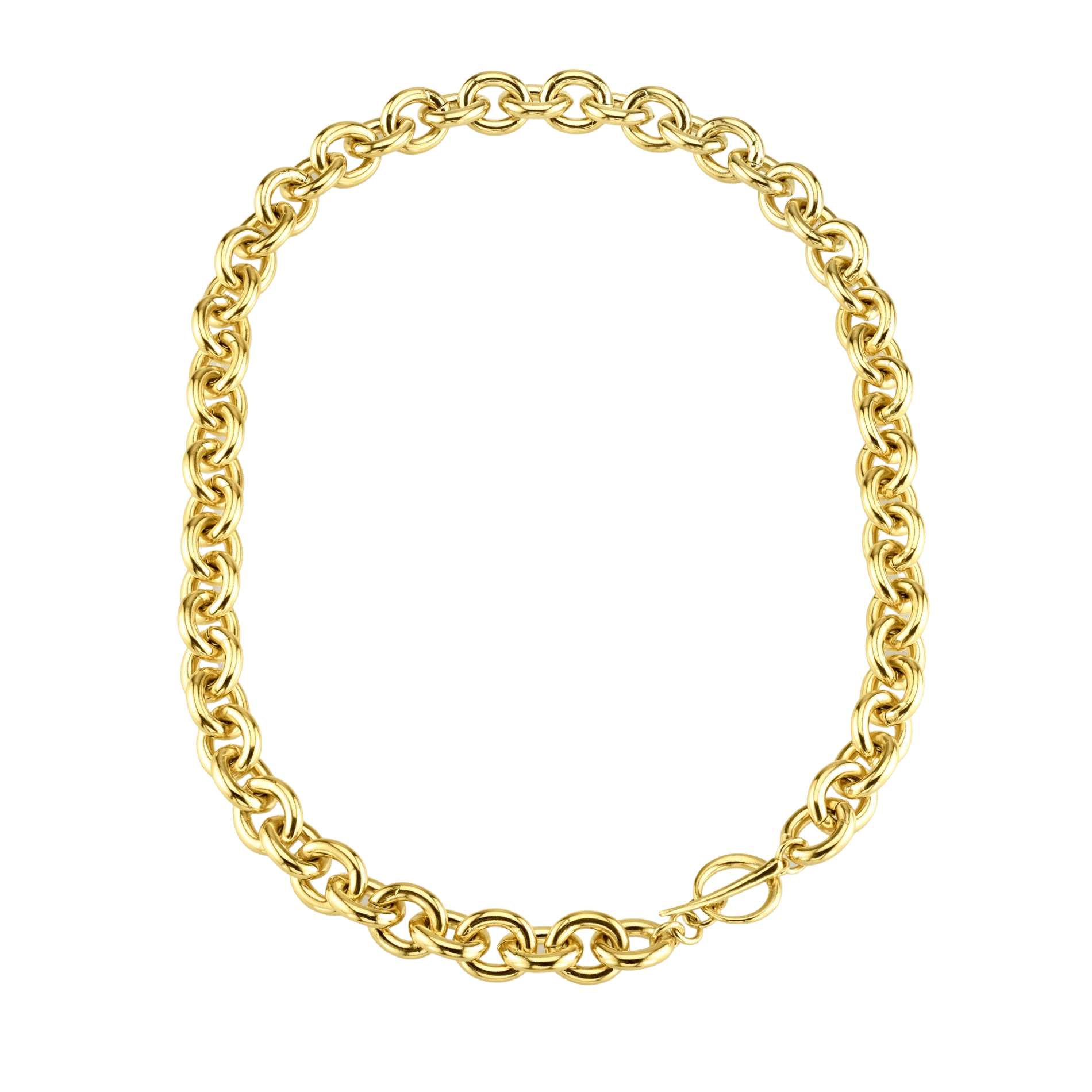 Chain Necklace with Tusk Clasp - Gabriela Artigas + CO