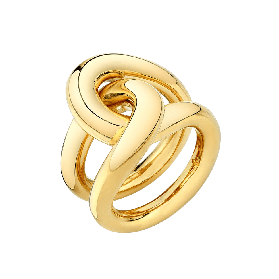 Fine Full Link Ring - Gabriela Artigas + CO